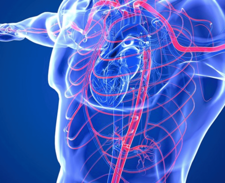 Hypertension Clinic Vaughan & Toronto | Blood Pressure Specialists